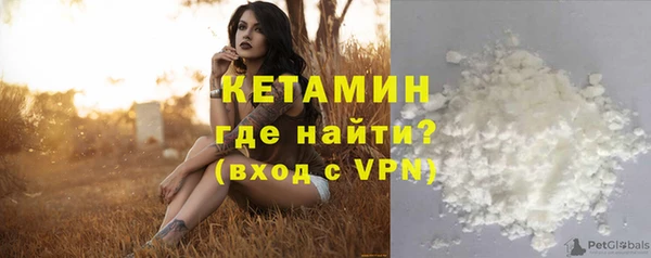 амф Снежногорск