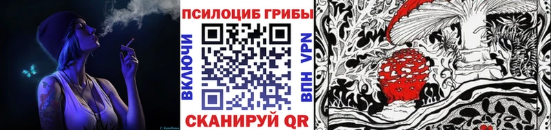 MEGA зеркало Шагонар Галлюциногенные грибы мухоморы