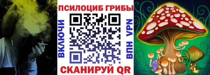 Псилоцибиновые грибы мухоморы Шагонар